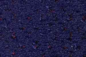 Ковролин Radici Mosaico Jonio 2412 фото  | FLOORDEALER